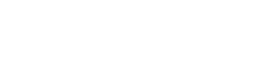 The Rack Group Installation And Alterations Logo White